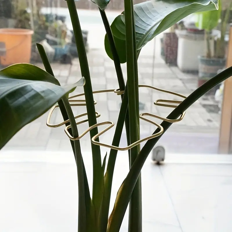 Plant Support Stake - 1 sztuka – duży, wiszący stojak