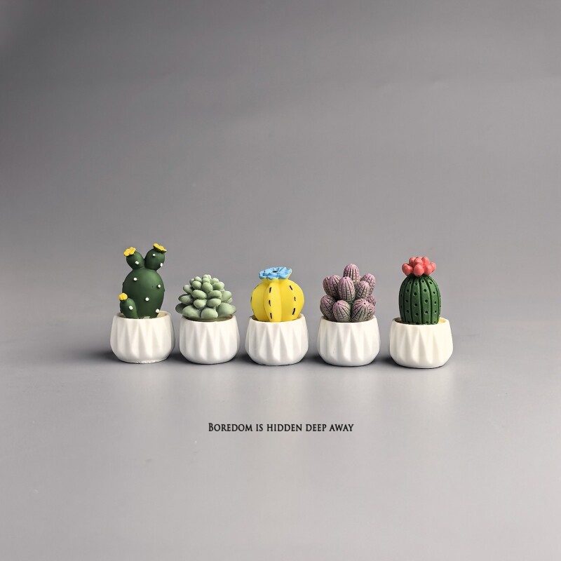 Succulent Set - Kaktus doniczkowy, sukulent, mini ozdoba na