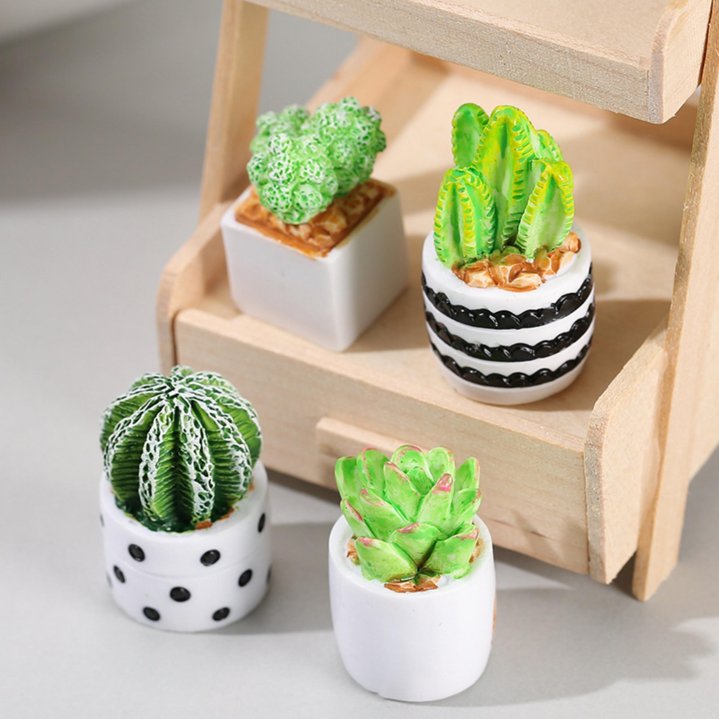 Succulent Set - 4-częściowy zestaw sukulentów w doniczkach, akcesoria