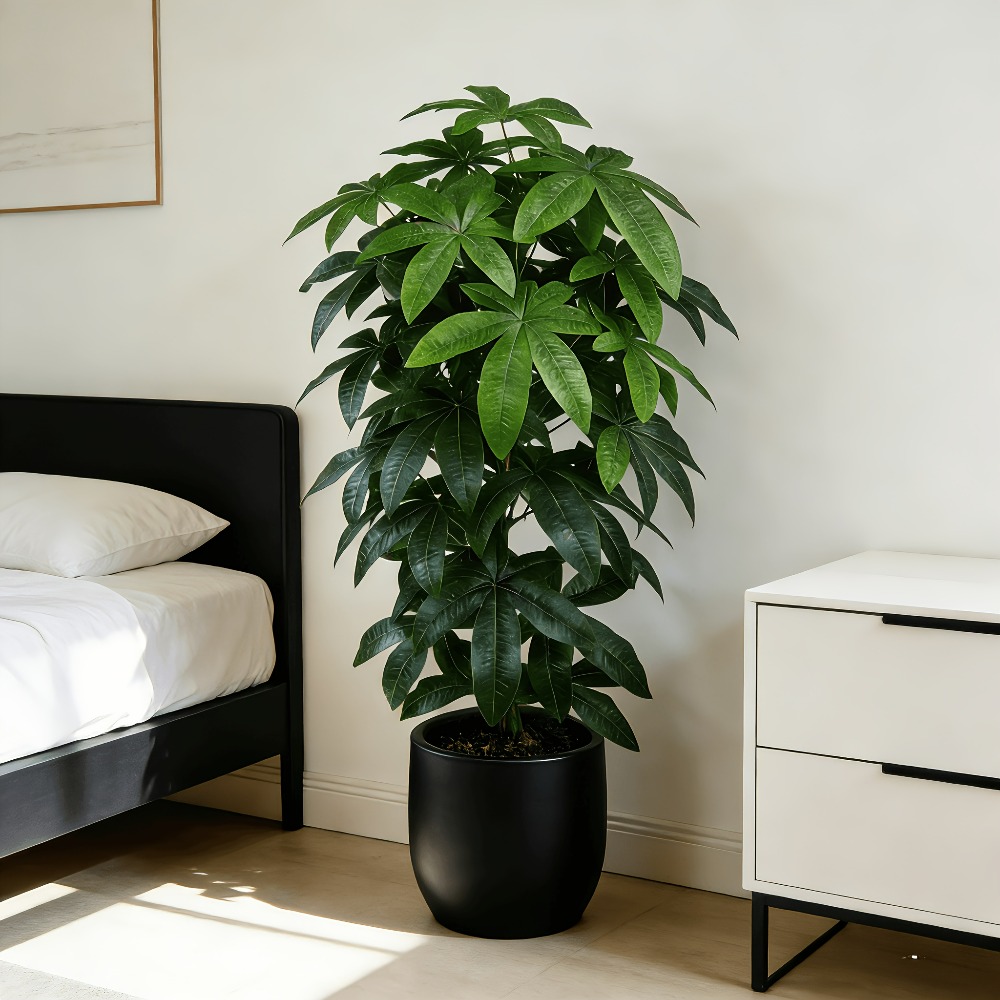 Snake Plant - Sztuczna drzewka szczęścia Pachira Aquatica z