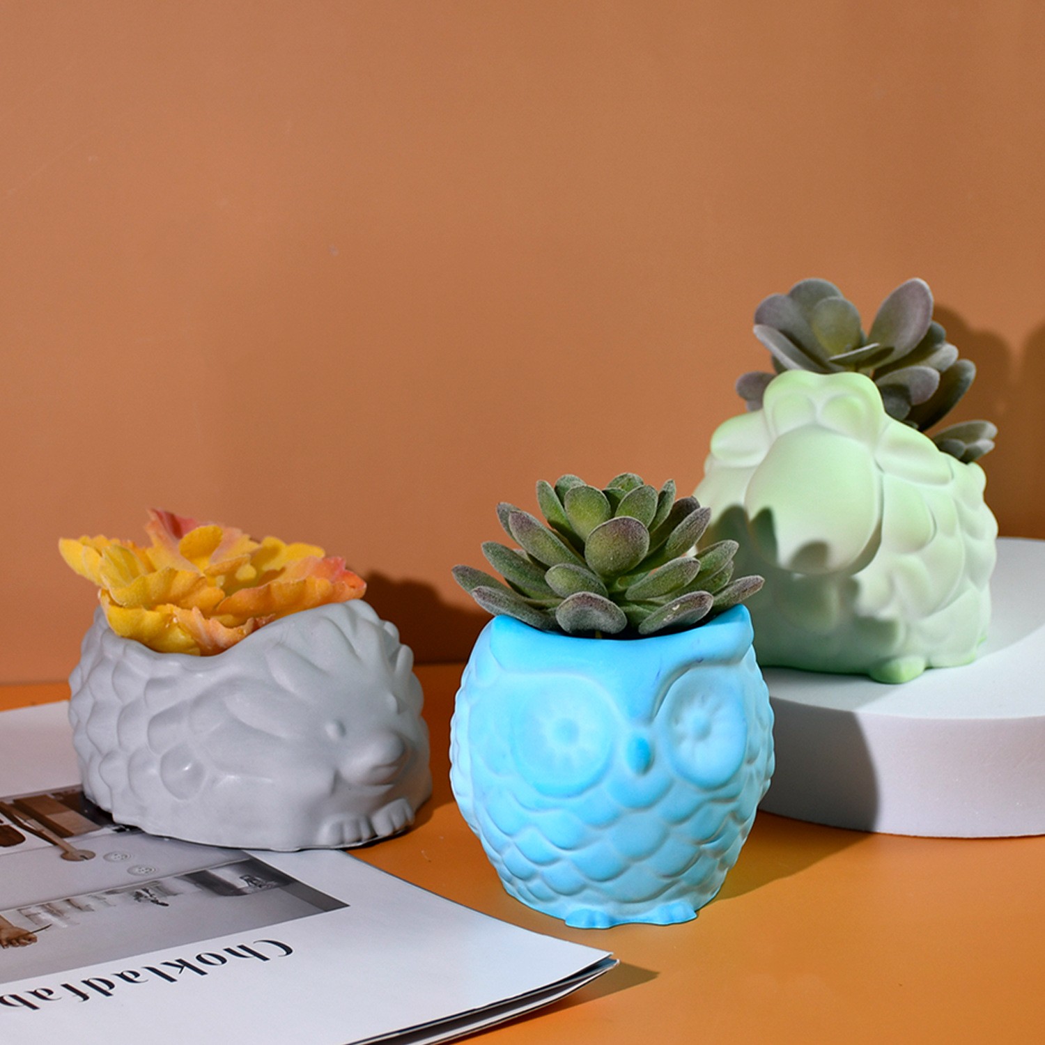 Forma Silikonowa 3D Doniczka Z – Succulent Set recenzja i cena