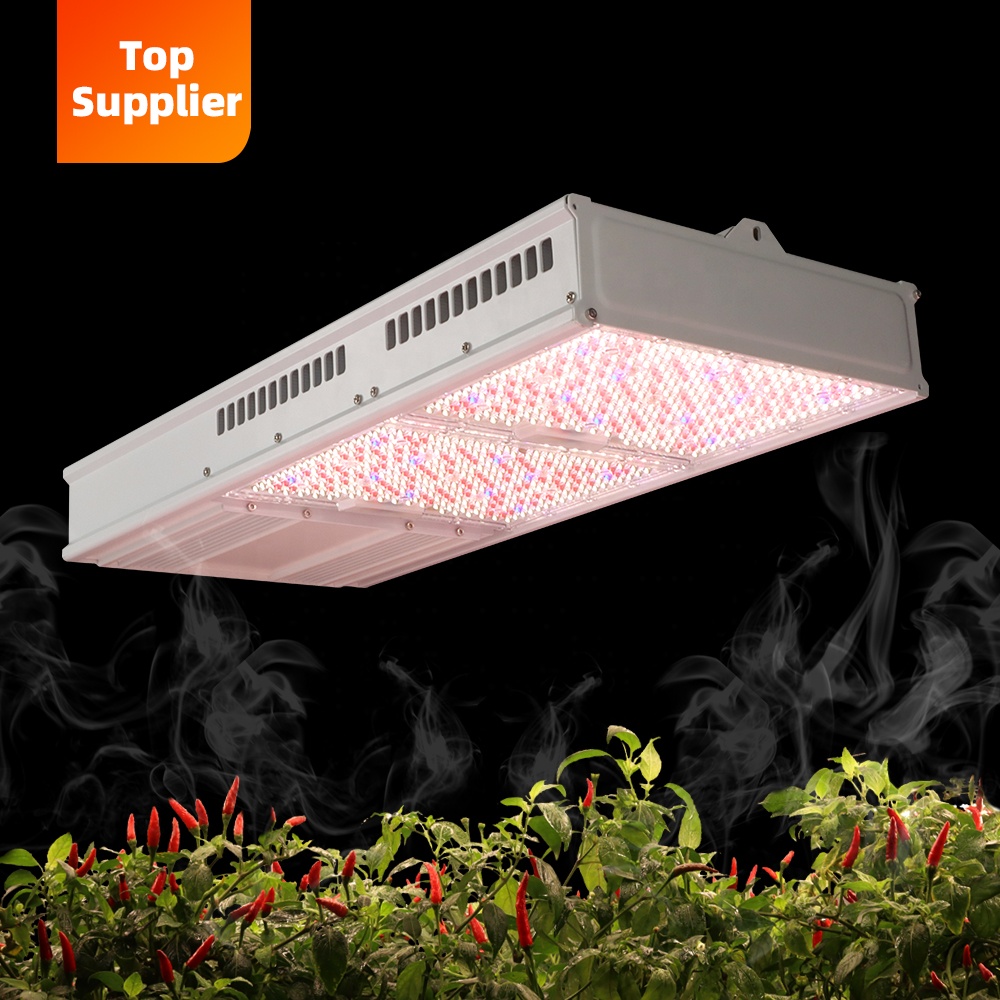 Ekonomiczna lampa LED do upraw – Indoor Plants recenzja i cena