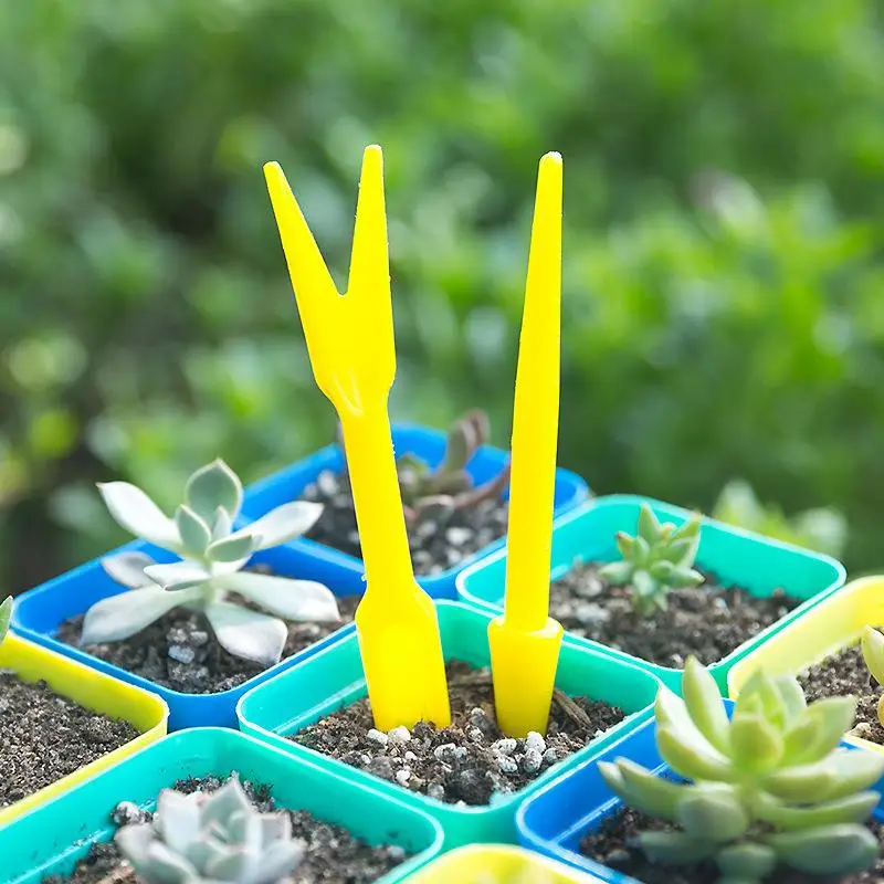 1/10 sztuk siew sukulenty prze – Succulent Set recenzja i cena