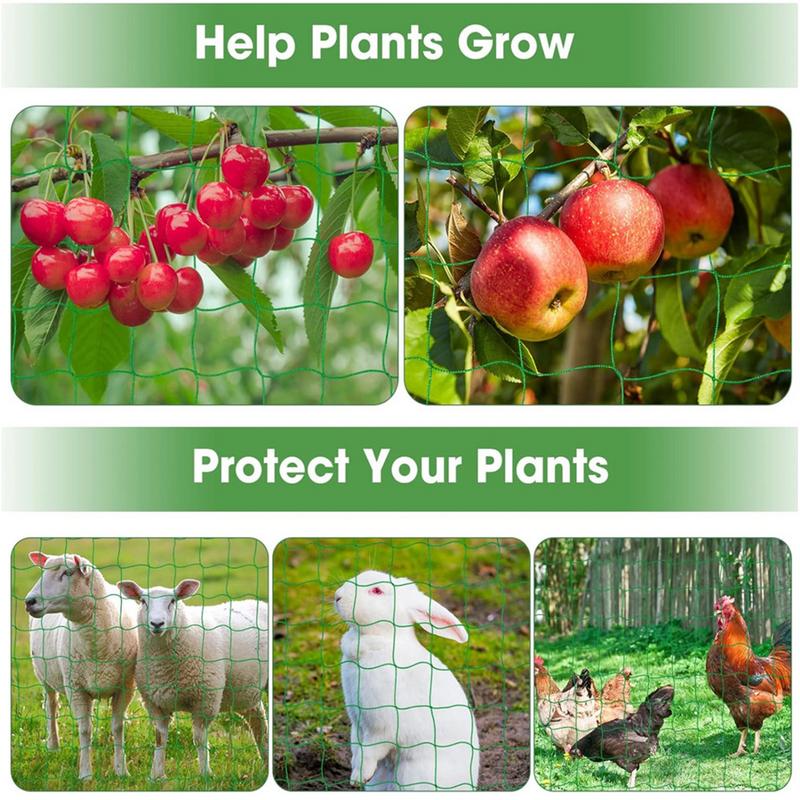 Siatka kratowa do roślin pnący – Plant Support Stake recenzja i cena