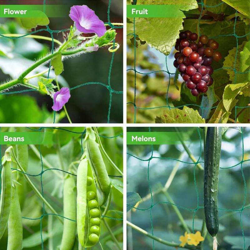 Siatka kratowa do roślin pnący – Plant Support Stake recenzja i cena