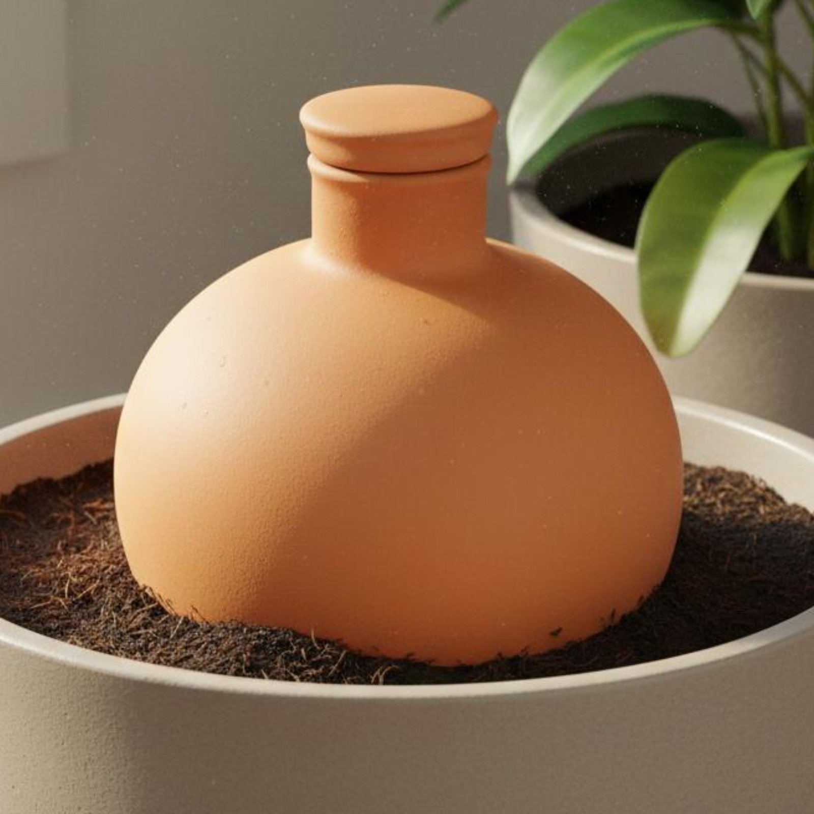 2 sztuki Terracotta Olla - don – Terracotta Pot recenzja i cena