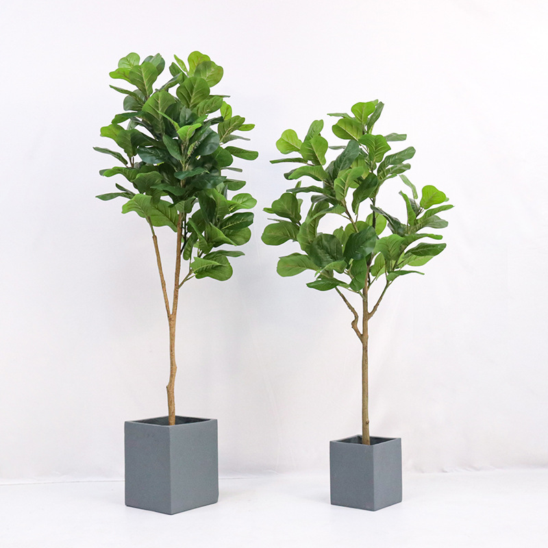 Sztuczna, plastikowa roślina d – Fiddle Leaf Fig recenzja i cena