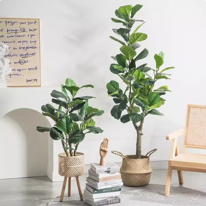 Sztuczna, plastikowa roślina d – Fiddle Leaf Fig recenzja i cena