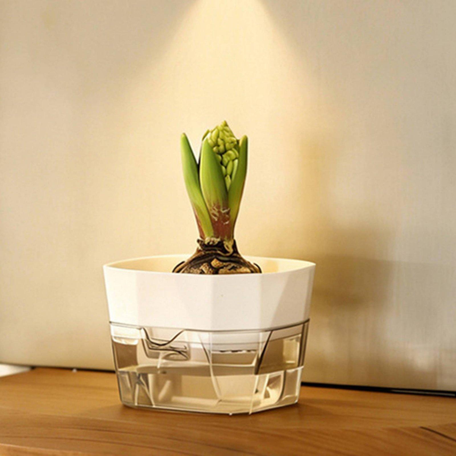 Wazon hydroponiczny dwuwarstwo – Plant Pot recenzja i cena