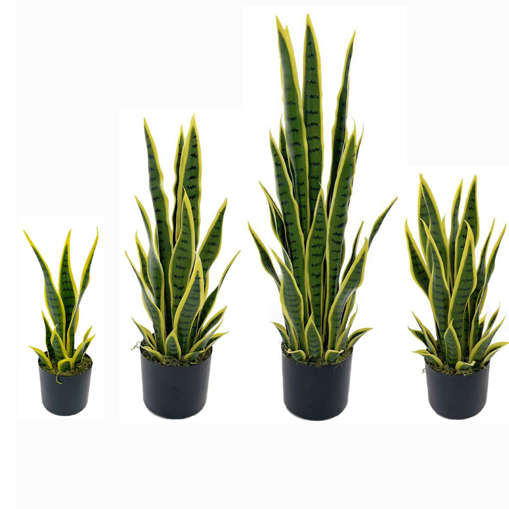 Sztuczna Sansewieria (Wężowa)  – Snake Plant recenzja i cena