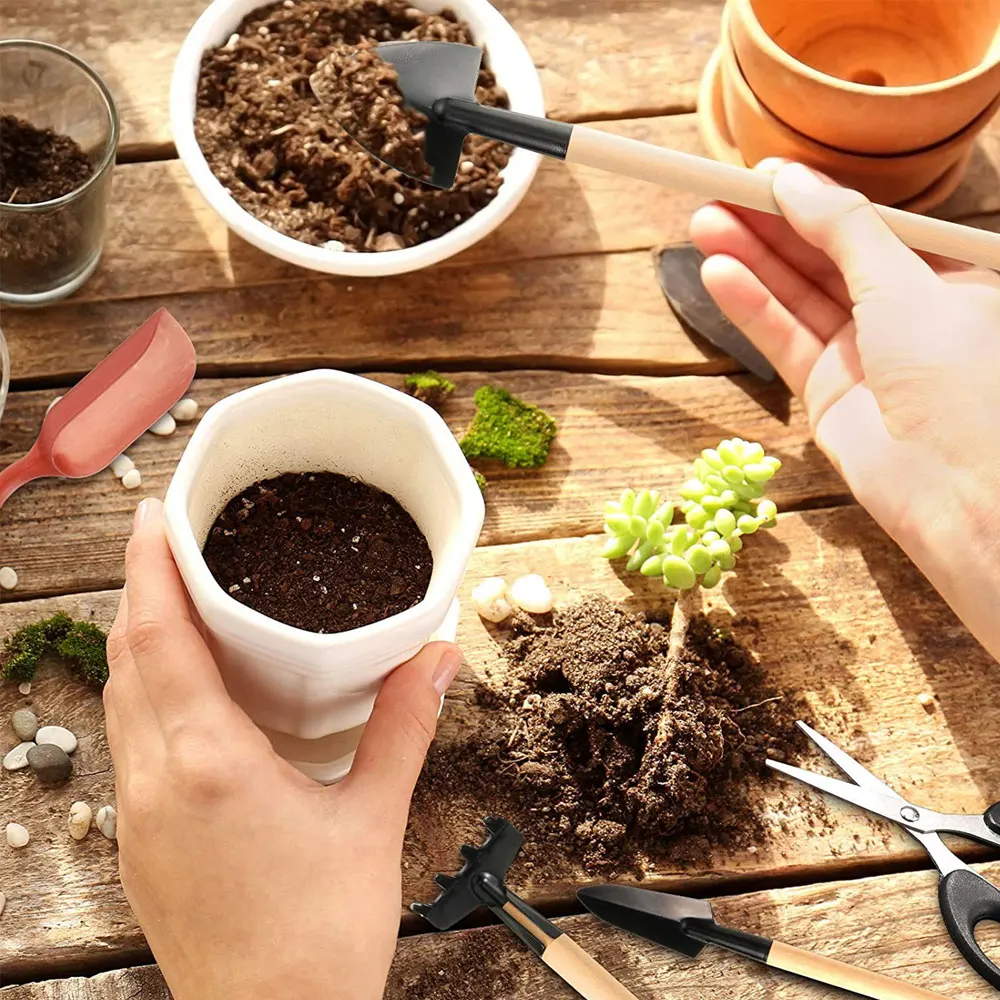 13 szt. Zestaw narzędzi sukule – Succulent Set recenzja i cena